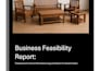 create industrial feasibility study and financial model
